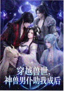动画第九次日落海报